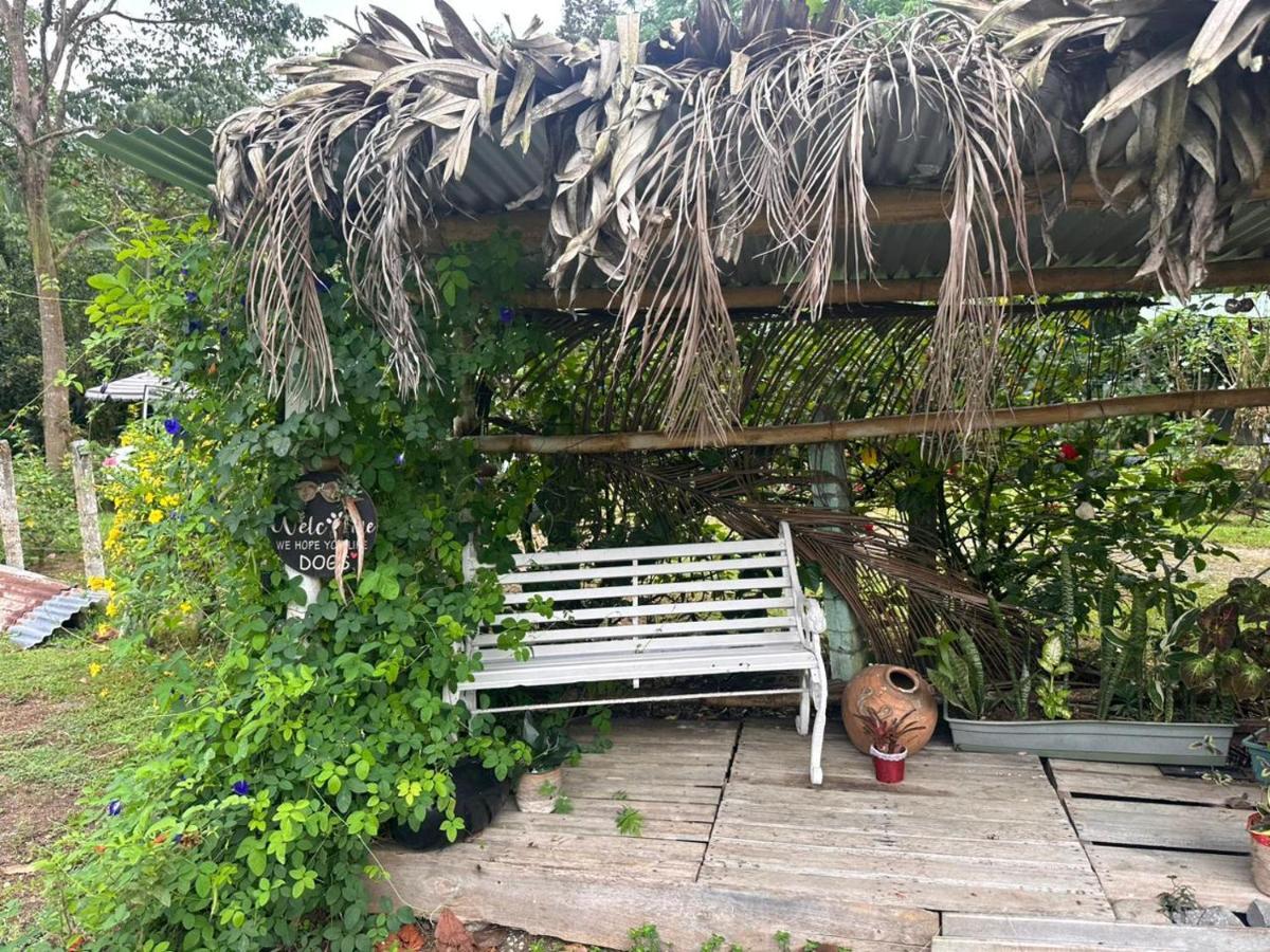 River Side Lodge Horquetas Exterior foto